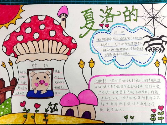 夏洛的网手抄报图片及内容