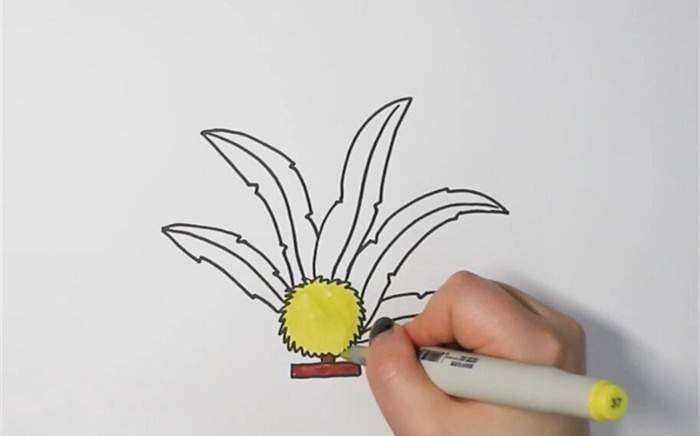 毽子简笔画怎么画