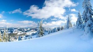 美丽的冬天作文500字写景（精选2篇）