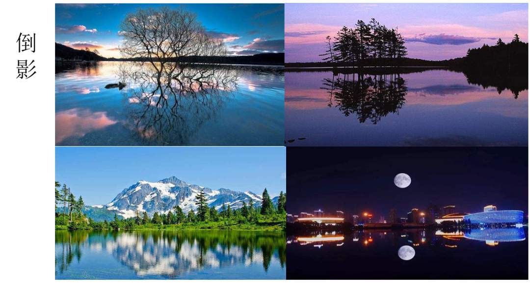 幼儿园幼小衔接科学教案：猴子捞月