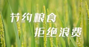 浪费造句 用浪费造句子