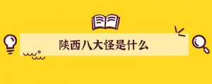 陕西八大怪是什么