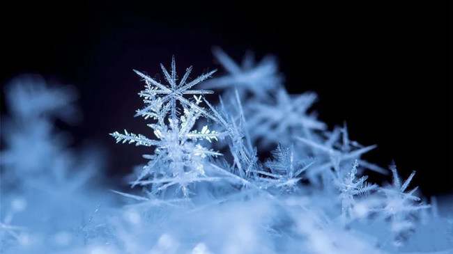 冬季儿童手工《棉签雪花》