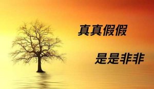 是非造句 用是非造句子