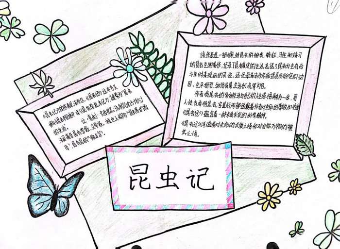 关于昆虫记的图文并茂的手抄报
