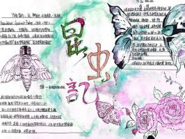 关于昆虫记的图文并茂的手抄报（精选7张）