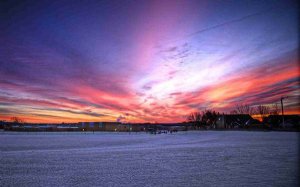 忽然造句 用忽然造句子