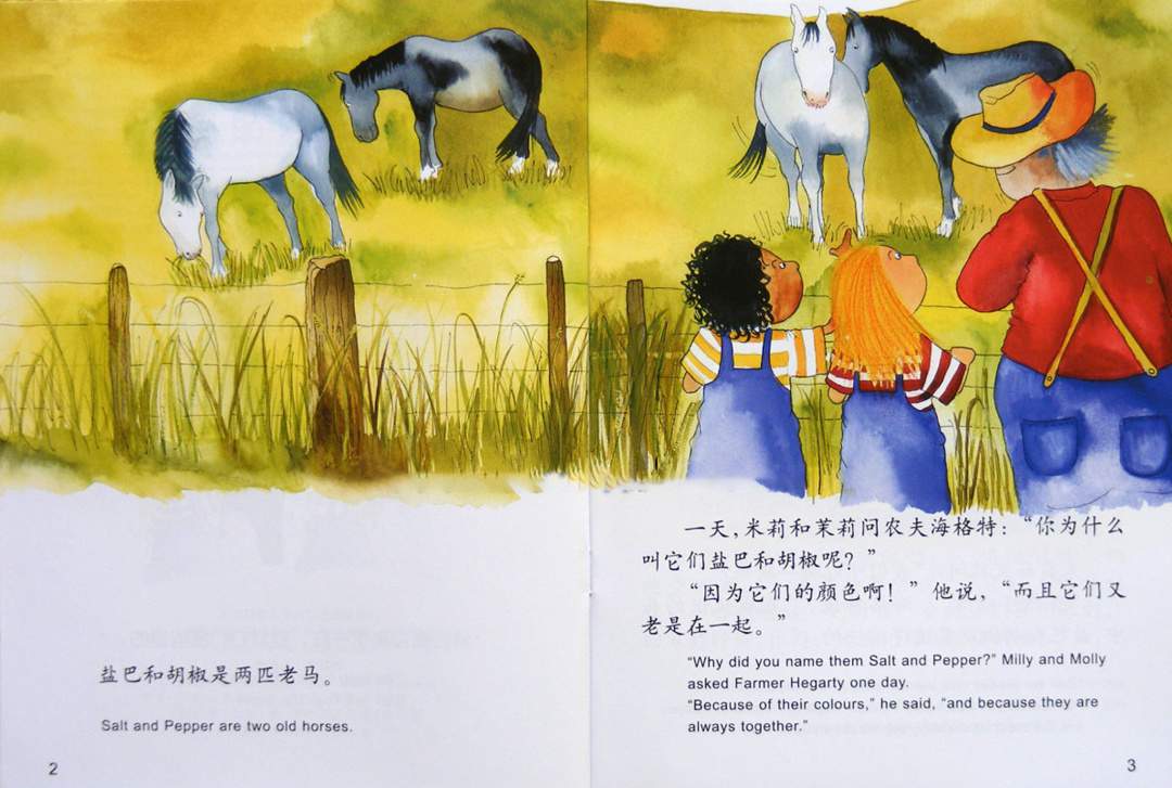 幼儿园绘本故事推荐米莉茉莉丛书《盐巴和胡椒》