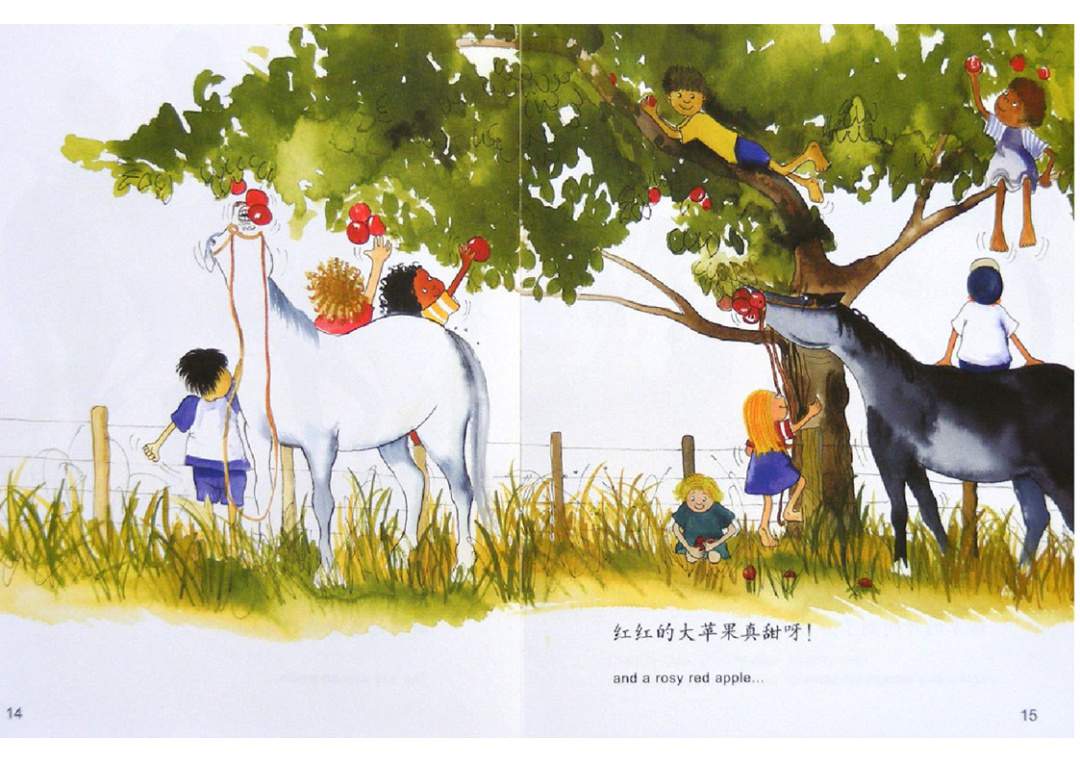 幼儿园绘本故事推荐米莉茉莉丛书《盐巴和胡椒》