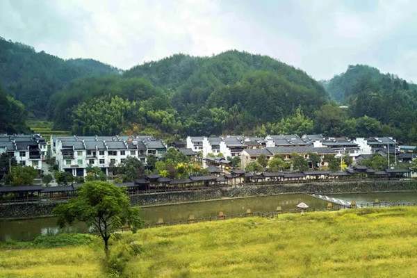 美丽的乡村作文600字