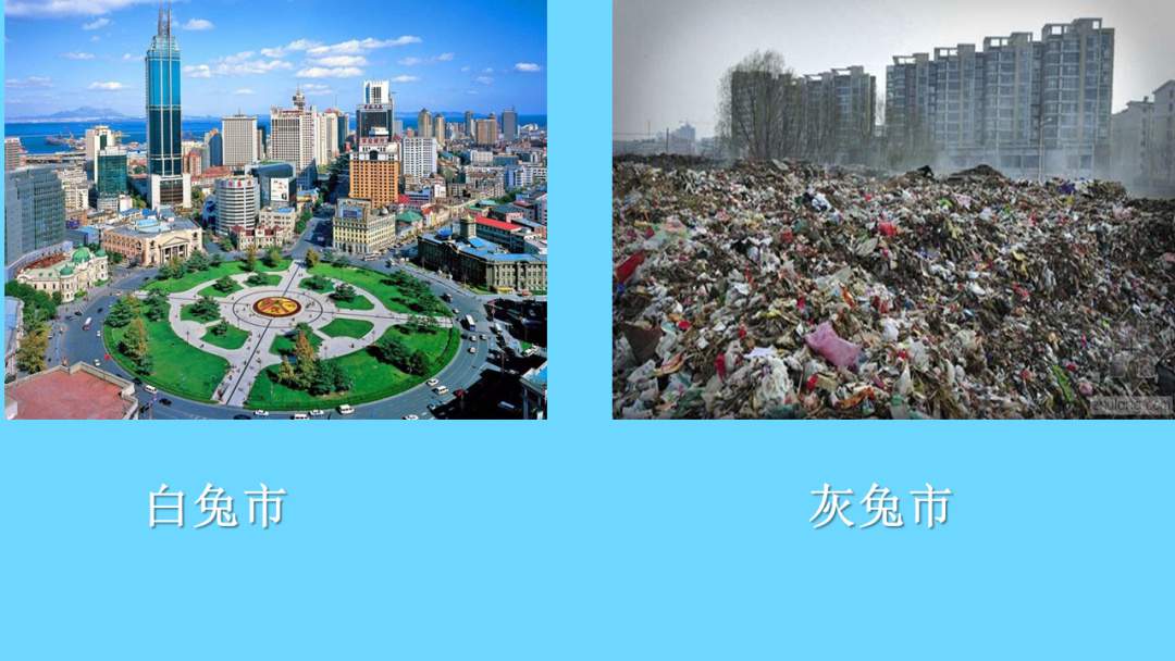 幼儿园幼小衔接科学教案：环保纪念日