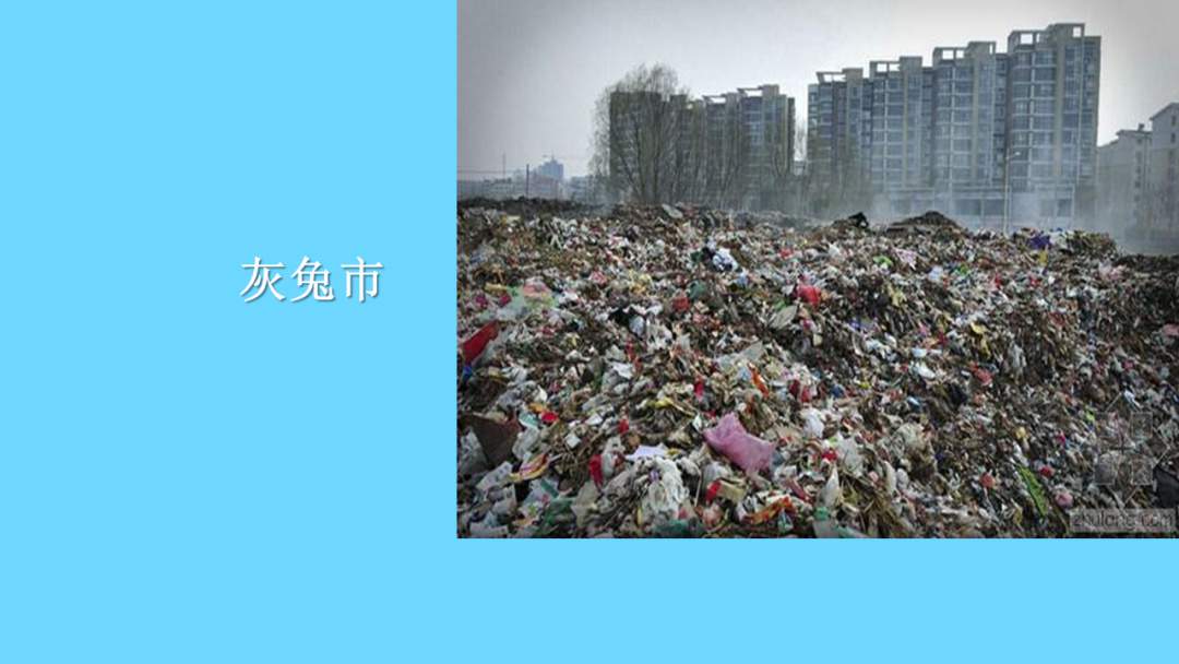 幼儿园幼小衔接科学教案：环保纪念日