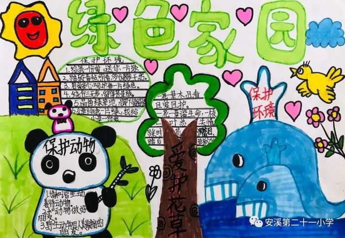 保护绿色家园手抄报四年级