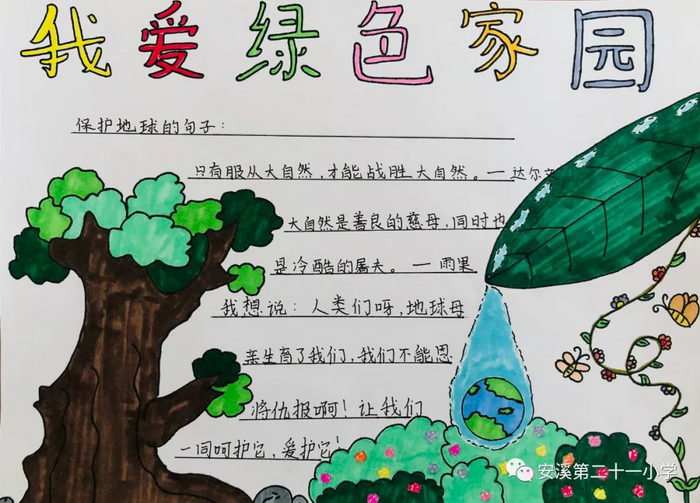保护绿色家园手抄报四年级