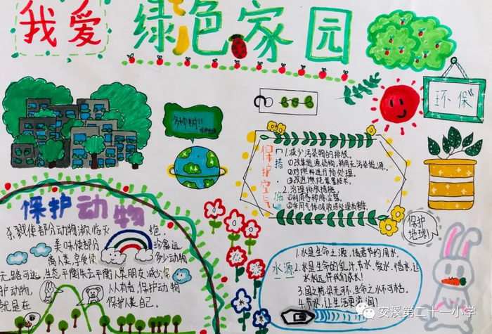 保护绿色家园手抄报四年级
