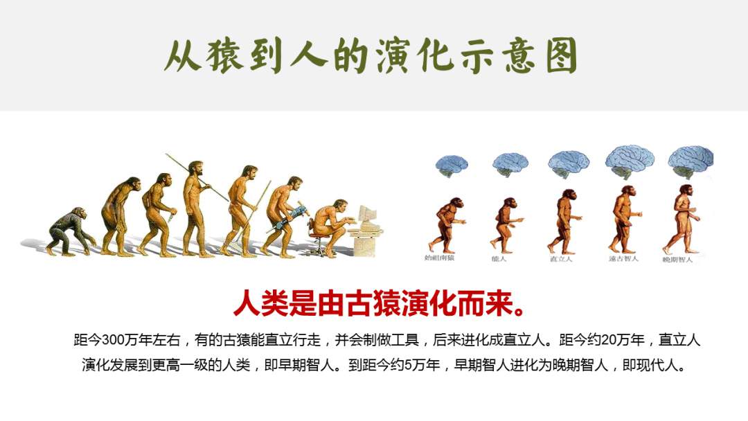 幼儿园幼小衔接社会教案：劳动创造人类