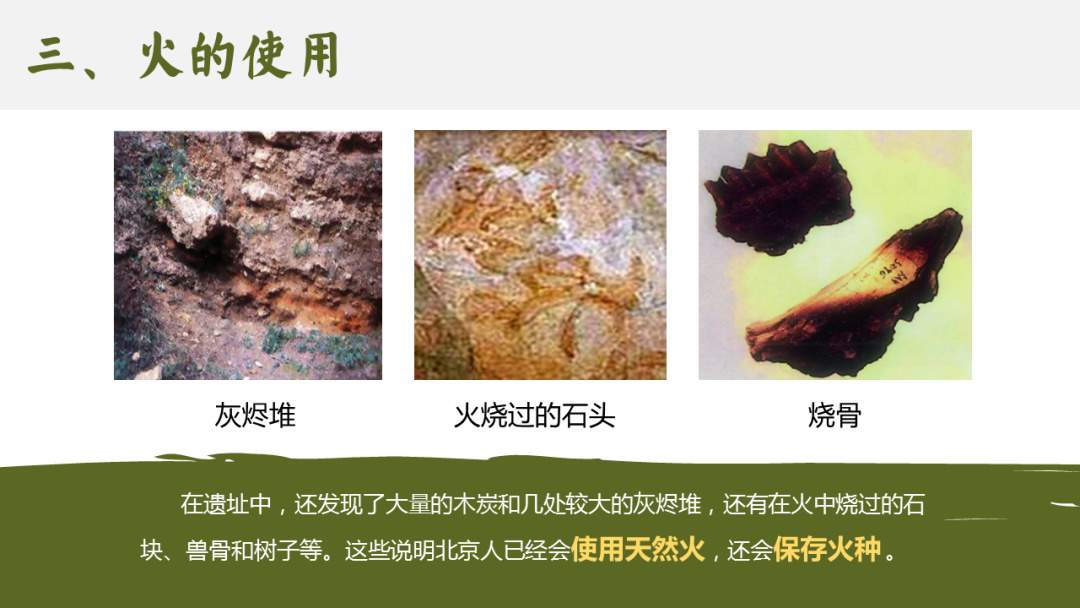 幼儿园幼小衔接社会教案：劳动创造人类