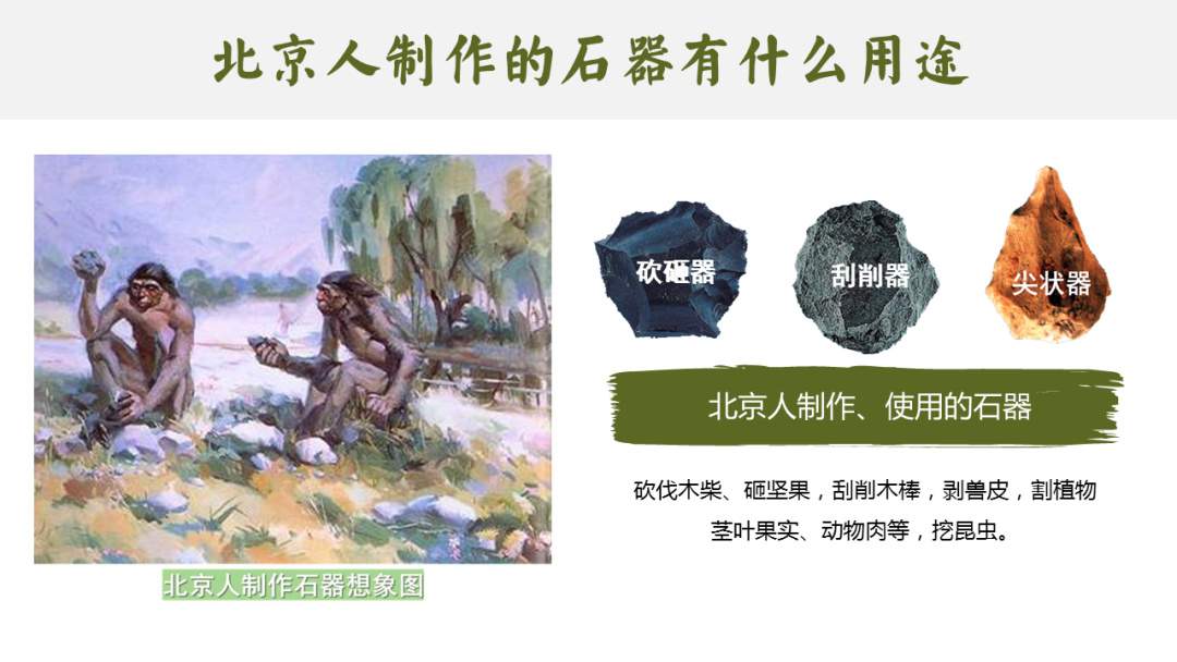 幼儿园幼小衔接社会教案：劳动创造人类