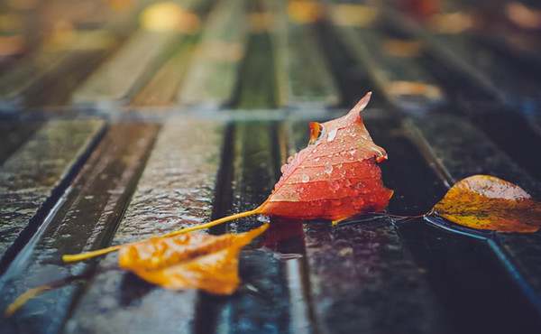 悔作文800字六年级优秀作文