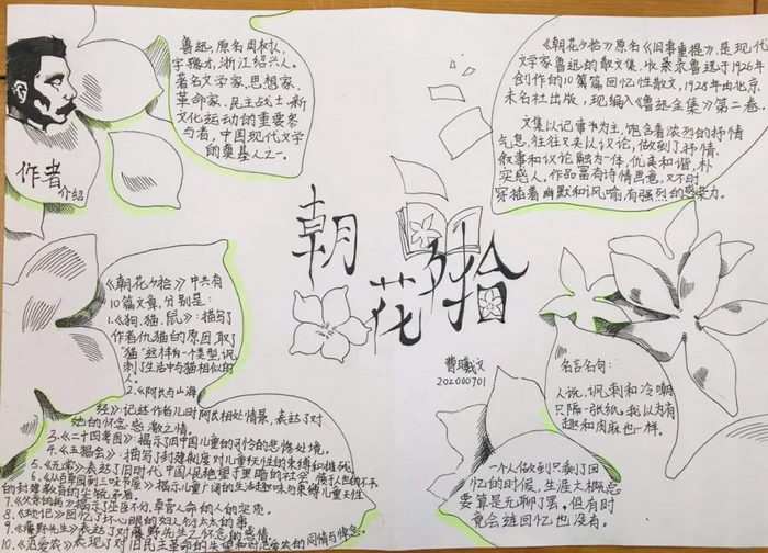 朝花夕拾手抄报图片及内容初一