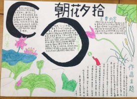 朝花夕拾手抄报图片及内容初一（精选10张）