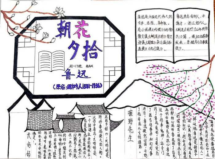 朝花夕拾手抄报图片及内容初一