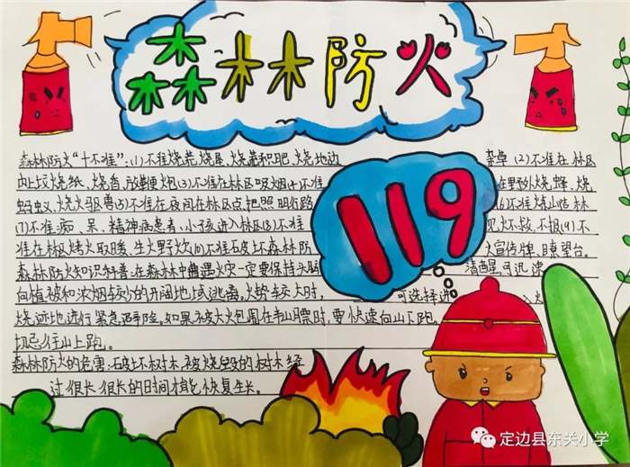 严防森林火灾保护绿色家园手抄报