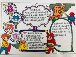 严防森林火灾保护绿色家园手抄报（精选10张）