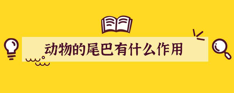 动物的尾巴有什么作用