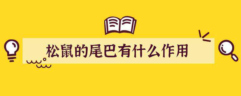 松鼠的尾巴有什么作用