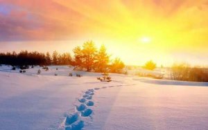 冬日里的温暖作文800字优秀作文（精选4篇）