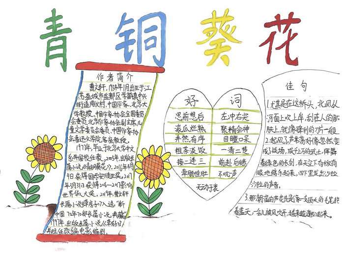 四年级青铜葵花手抄报图片及内容