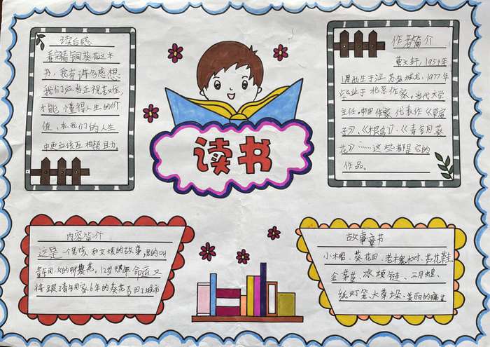 四年级青铜葵花手抄报图片及内容