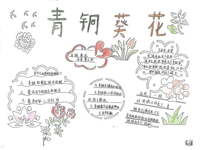 四年级青铜葵花手抄报图片及内容