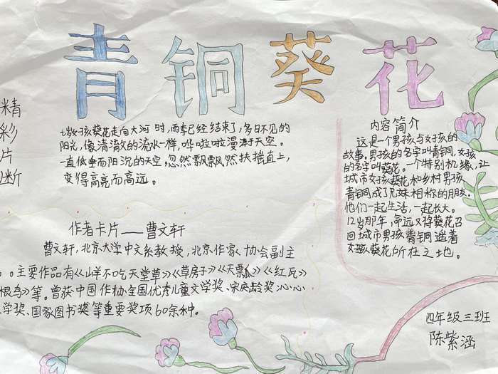 四年级青铜葵花手抄报图片及内容