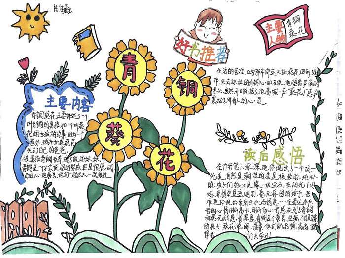 四年级青铜葵花手抄报图片及内容