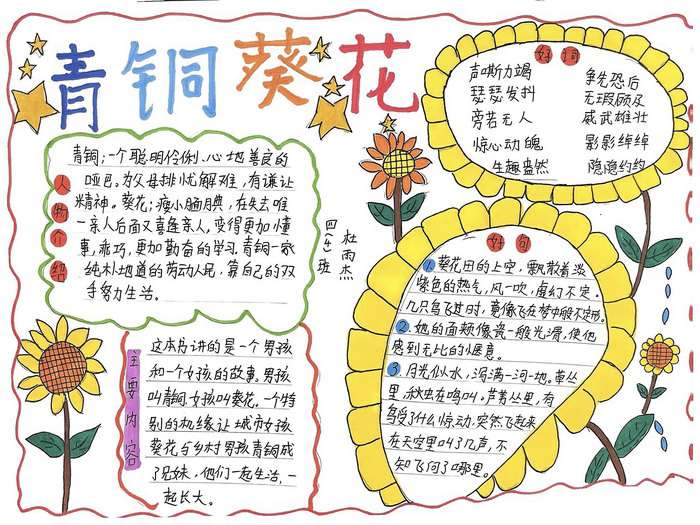 四年级青铜葵花手抄报图片及内容
