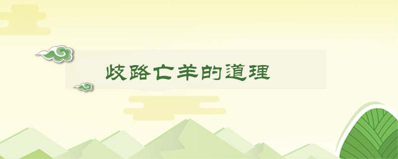 歧路亡羊的道理