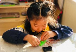 幼儿园大班优秀科学教案《小灯泡亮了》含反思