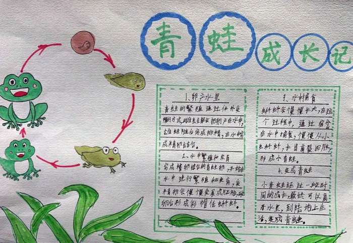 最简单的自然笔记手抄报图片