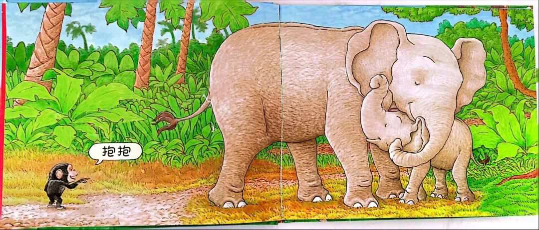 儿童绘本故事《抱抱》