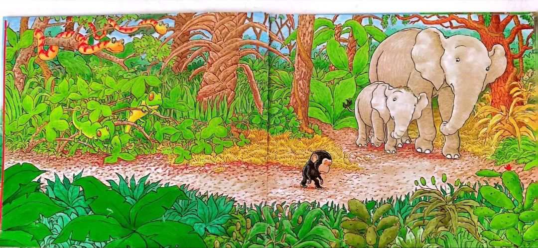 儿童绘本故事《抱抱》