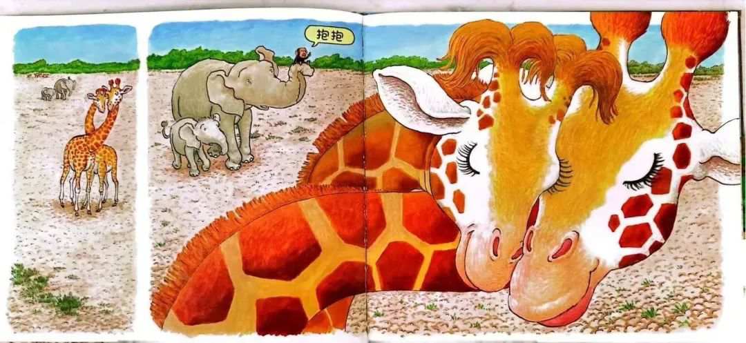 儿童绘本故事《抱抱》