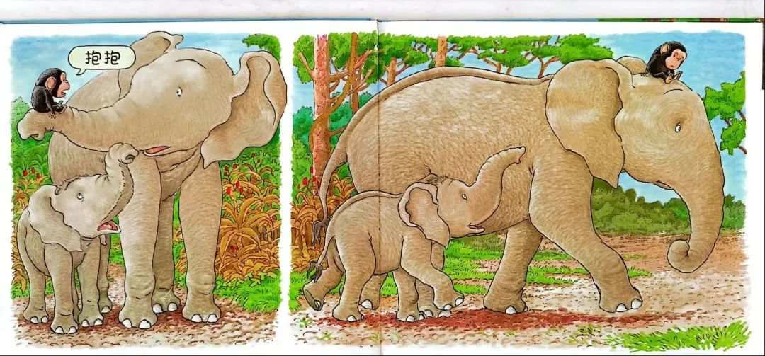 儿童绘本故事《抱抱》
