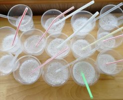 幼儿园中班科学教案《吹泡泡》