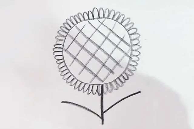 幼儿向日葵图片简笔画简单