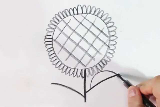 幼儿向日葵图片简笔画简单