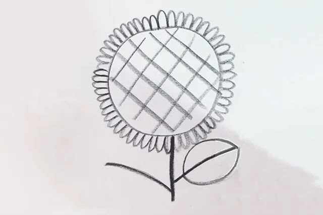 幼儿向日葵图片简笔画简单