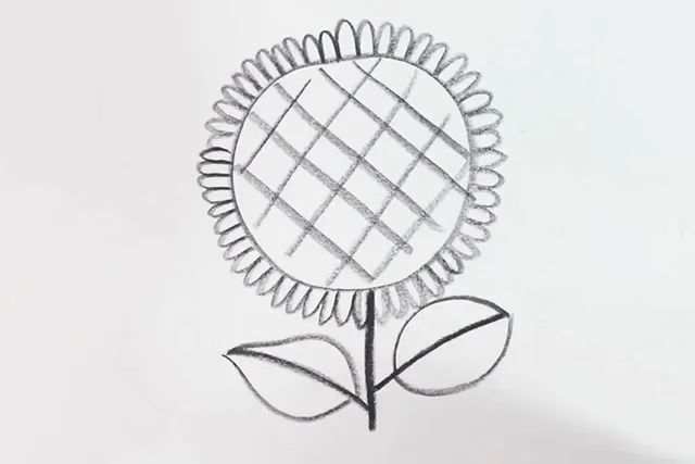 幼儿向日葵图片简笔画简单