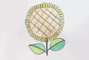 幼儿向日葵图片简笔画简单(步骤图解)
